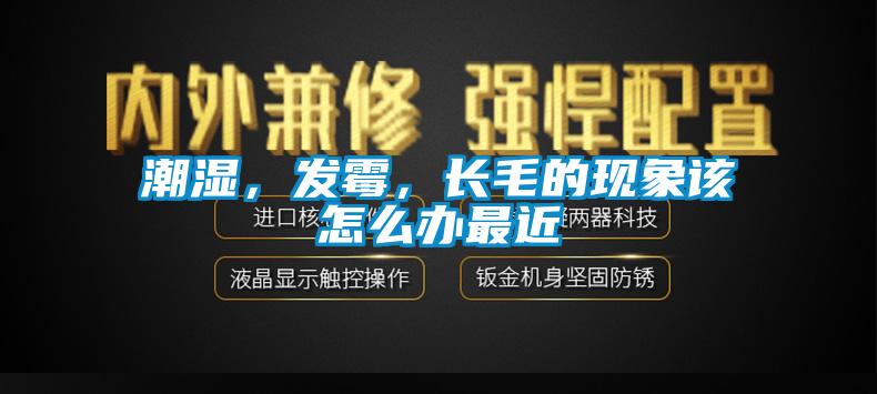 潮濕，發霉，長毛的現象該怎么辦最近