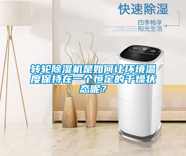 轉輪除濕機是如何讓環境溫度保持在一個恒定的干燥狀態呢？