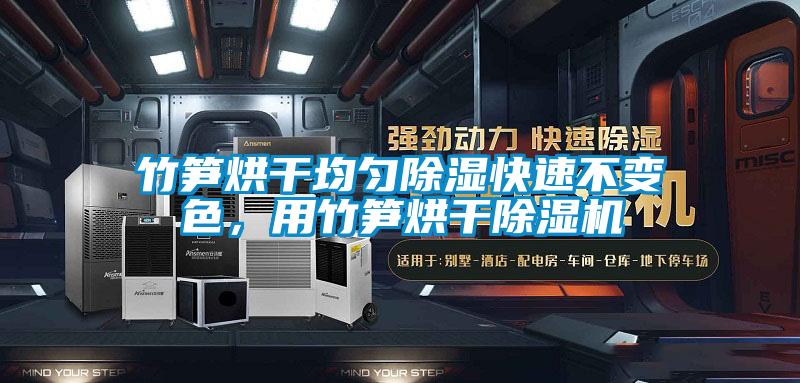 竹筍烘干均勻除濕快速不變色，用竹筍烘干除濕機
