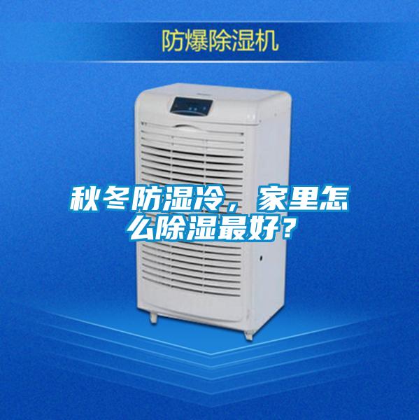秋冬防濕冷，家里怎么除濕最好？