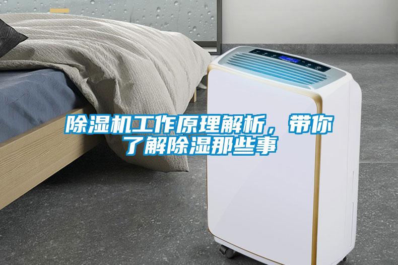 除濕機(jī)工作原理解析，帶你了解除濕那些事