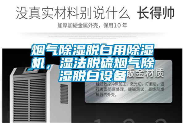 煙氣除濕脫白用除濕機，濕法脫硫煙氣除濕脫白設備