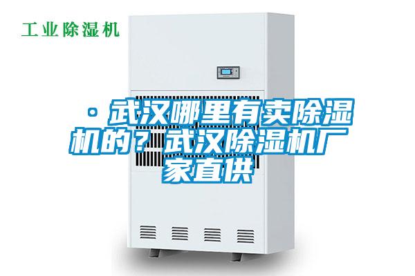 ·武漢哪里有賣除濕機的？武漢除濕機廠家直供