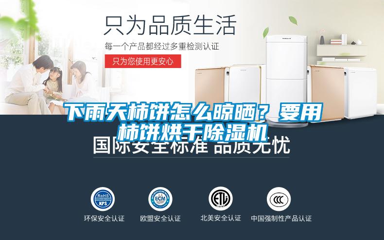 下雨天柿餅怎么晾曬？要用柿餅烘干除濕機