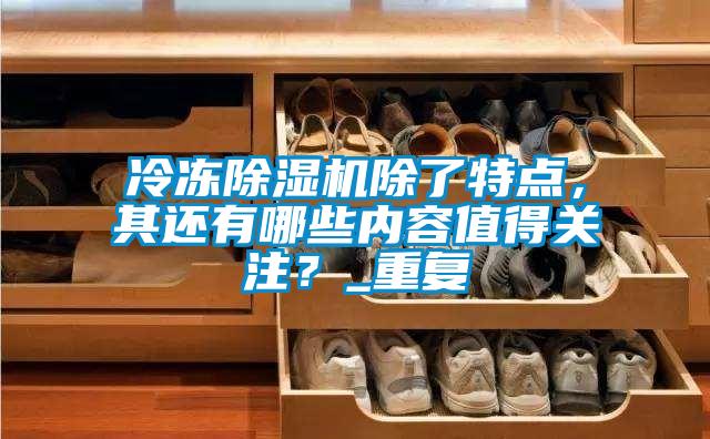 冷凍除濕機除了特點，其還有哪些內容值得關注？_重復