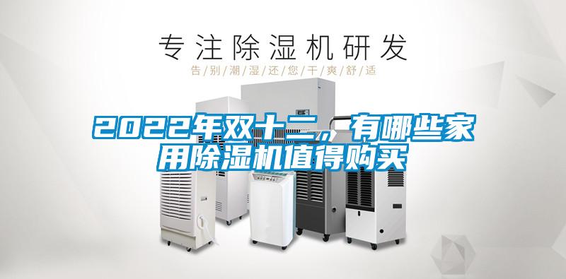 2022年雙十二，有哪些家用除濕機(jī)值得購買