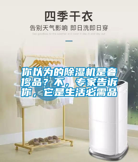 你以為的除濕機是奢侈品？不，專家告訴你，它是生活必需品