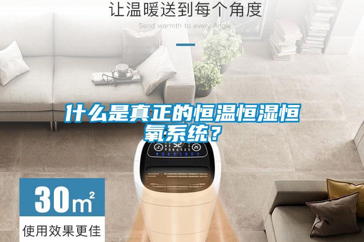 什么是真正的恒溫恒濕恒氧系統？