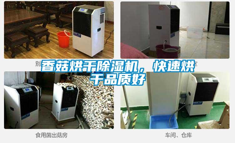 香菇烘干除濕機，快速烘干品質好