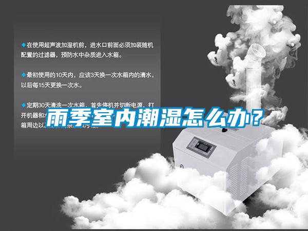雨季室內潮濕怎么辦？