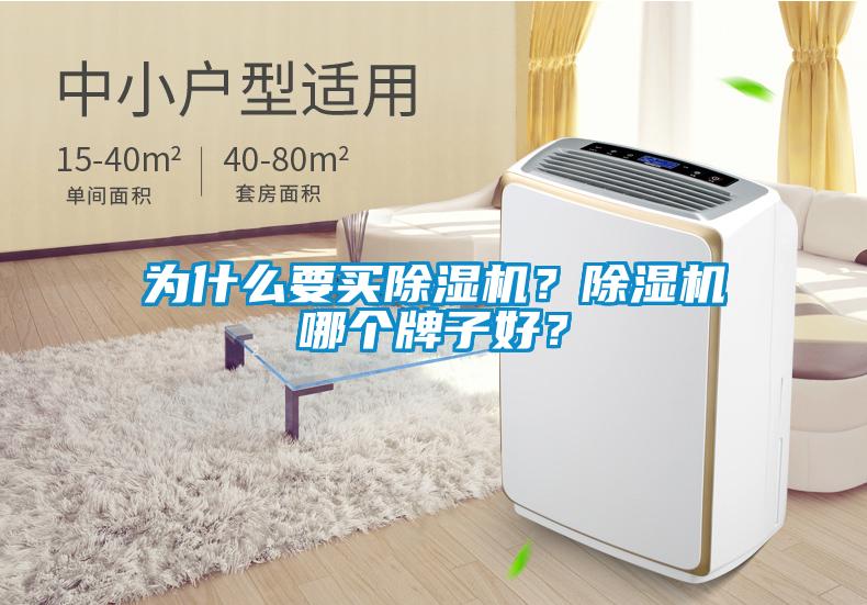 為什么要買除濕機？除濕機哪個牌子好？