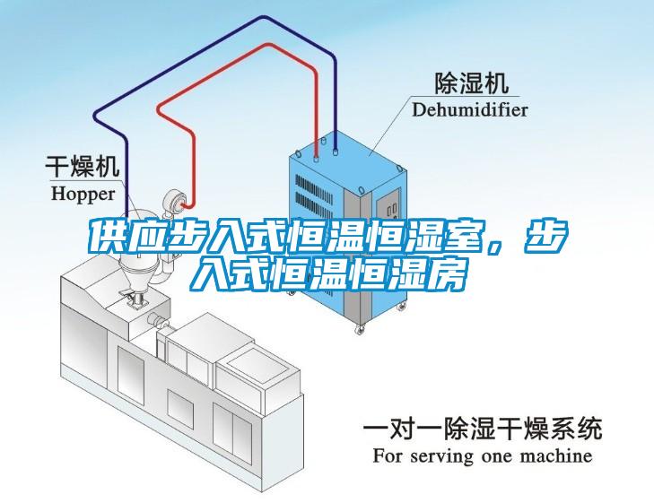 供應步入式恒溫恒濕室，步入式恒溫恒濕房