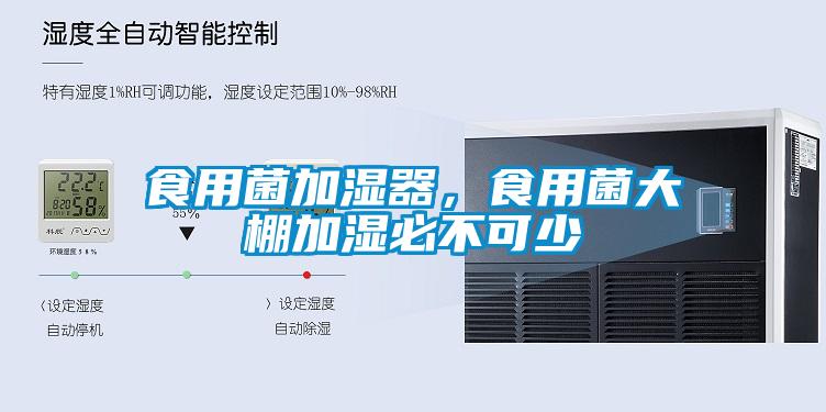 食用菌加濕器，食用菌大棚加濕必不可少