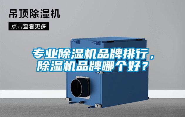 專業(yè)除濕機(jī)品牌排行，除濕機(jī)品牌哪個好？