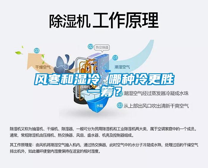 風(fēng)寒和濕冷 哪種冷更勝一籌？