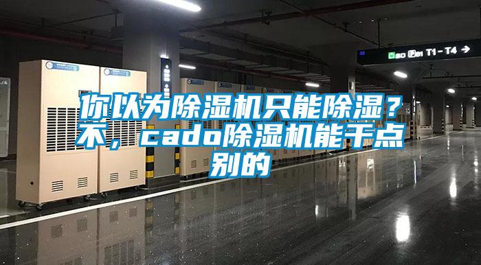 你以為除濕機只能除濕？不，cado除濕機能干點別的