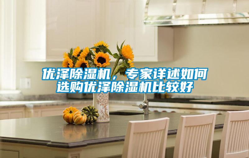 優澤除濕機，專家詳述如何選購優澤除濕機比較好