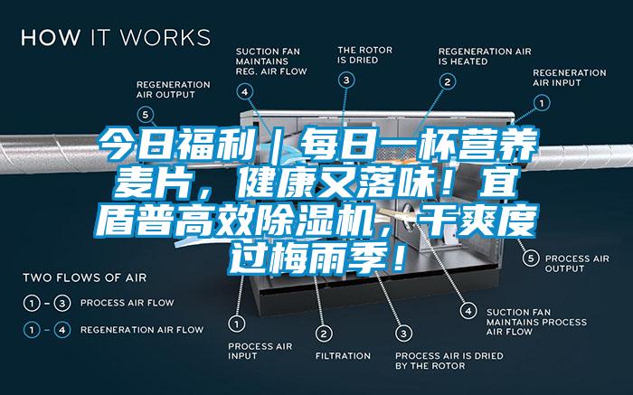 今日福利｜每日一杯營養麥片，健康又落味！宜盾普高效除濕機，干爽度過梅雨季！
