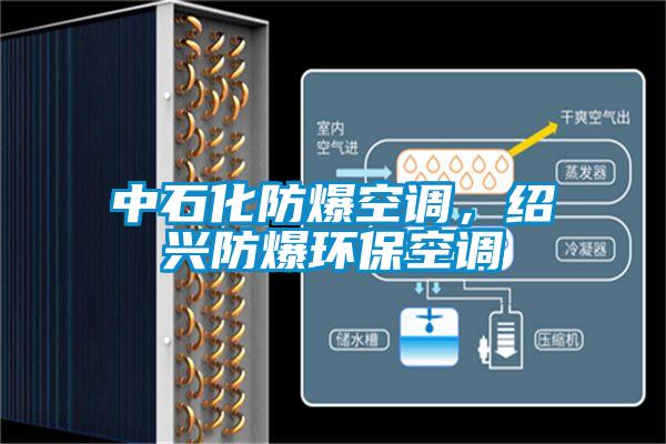 中石化防爆空調(diào)，紹興防爆環(huán)?？照{(diào)