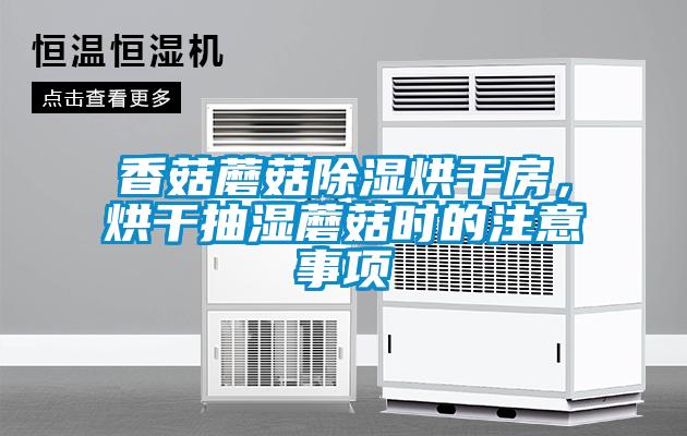 香菇蘑菇除濕烘干房，烘干抽濕蘑菇時的注意事項