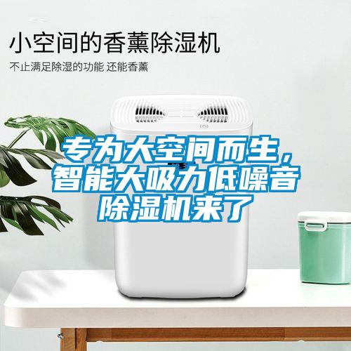 專為大空間而生，智能大吸力低噪音除濕機來了