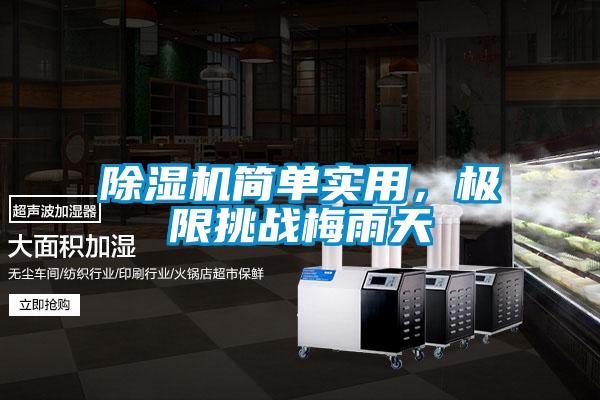 除濕機簡單實用，極限挑戰梅雨天