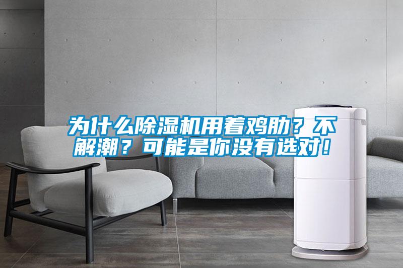 為什么除濕機用著雞肋？不解潮？可能是你沒有選對！