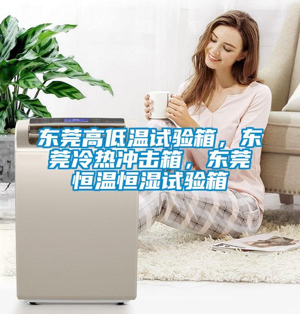 東莞高低溫試驗箱，東莞冷熱沖擊箱，東莞恒溫恒濕試驗箱