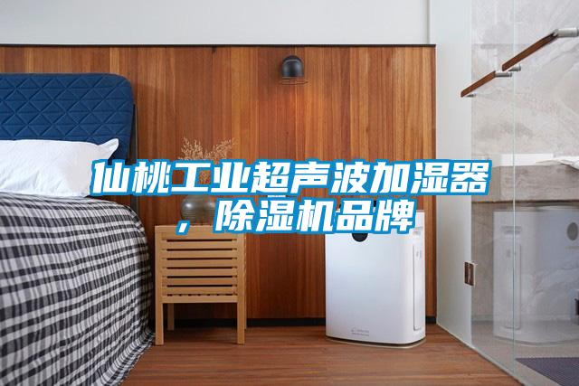 仙桃工業(yè)超聲波加濕器，除濕機品牌