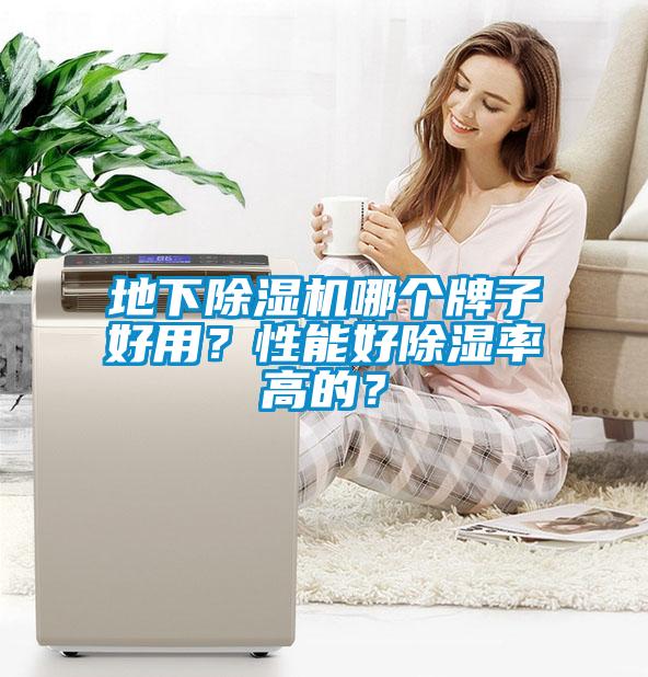 地下除濕機哪個牌子好用？性能好除濕率高的？