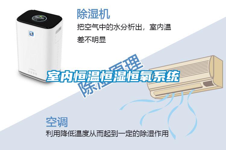室內恒溫恒濕恒氧系統(tǒng)