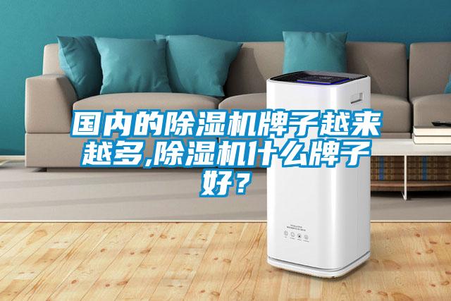 國內(nèi)的除濕機牌子越來越多,除濕機什么牌子好？