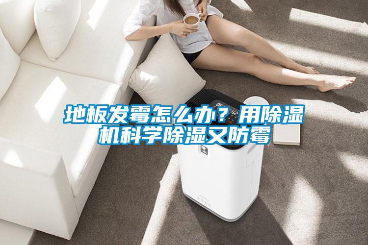地板發(fā)霉怎么辦？用除濕機科學除濕又防霉