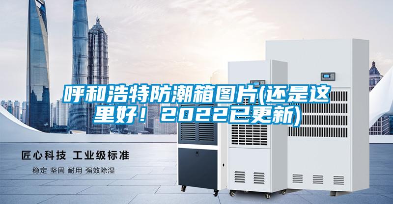 呼和浩特防潮箱圖片(還是這里好！2022已更新)