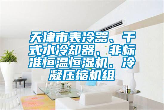 天津市表冷器、干式水冷卻器、非標(biāo)準(zhǔn)恒溫恒濕機(jī)、冷凝壓縮機(jī)組
