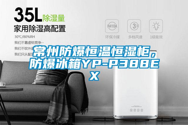 常州防爆恒溫恒濕柜，防爆冰箱YP-P388EX