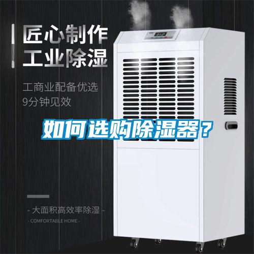 如何選購除濕器？