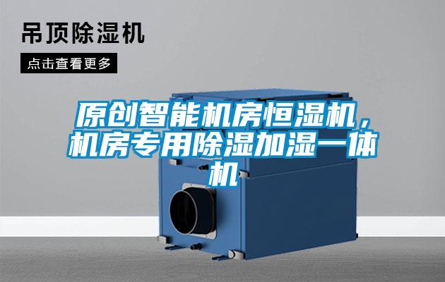 原創(chuàng)智能機房恒濕機，機房專用除濕加濕一體機
