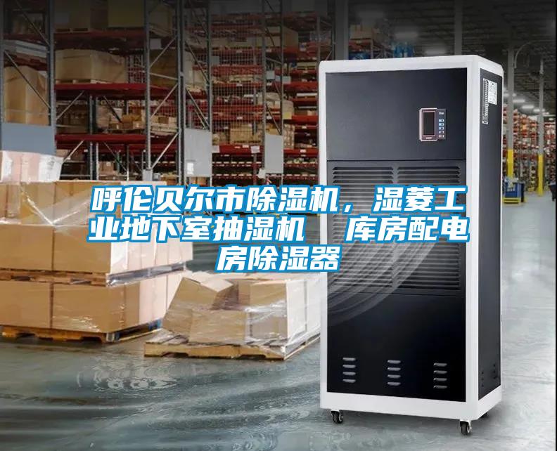 呼倫貝爾市除濕機，濕菱工業地下室抽濕機  庫房配電房除濕器