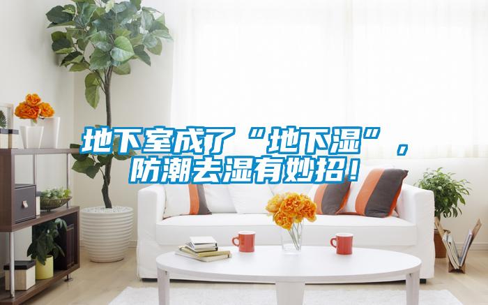 地下室成了“地下濕”，防潮去濕有妙招！