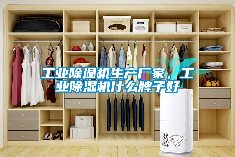 工業(yè)除濕機生產(chǎn)廠家，工業(yè)除濕機什么牌子好