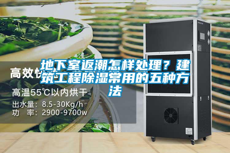 地下室返潮怎樣處理？建筑工程除濕常用的五種方法