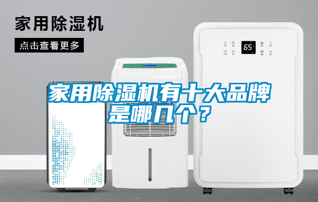 家用除濕機有十大品牌是哪幾個？