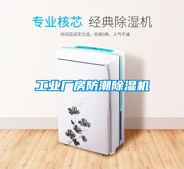 工業(yè)廠(chǎng)房防潮除濕機(jī)