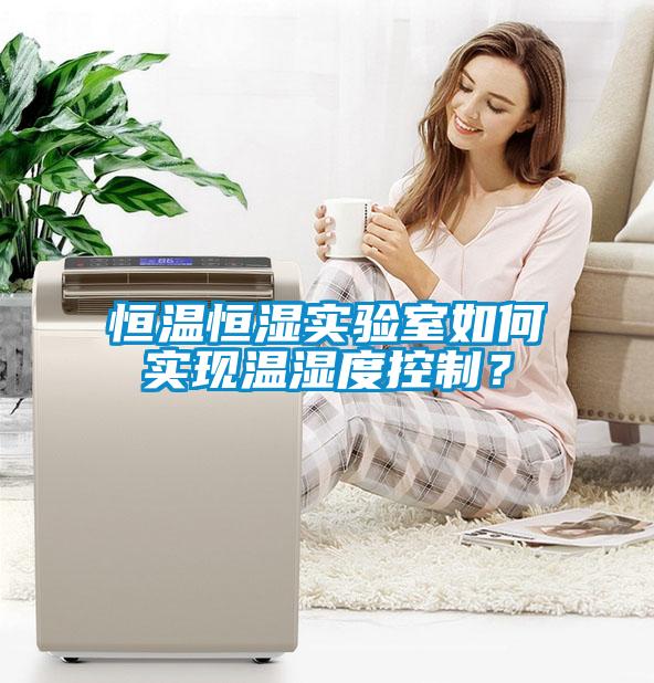 恒溫恒濕實驗室如何實現溫濕度控制？
