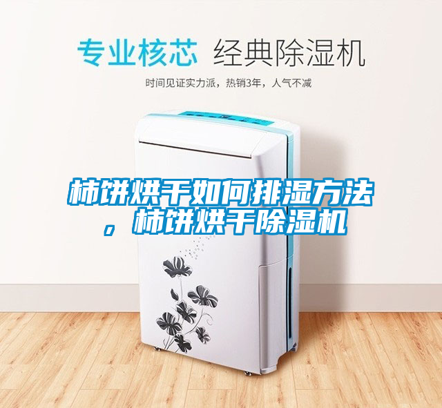 柿餅烘干如何排濕方法，柿餅烘干除濕機