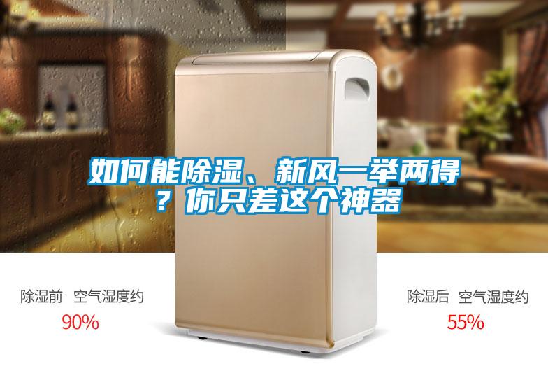 如何能除濕、新風(fēng)一舉兩得？你只差這個神器