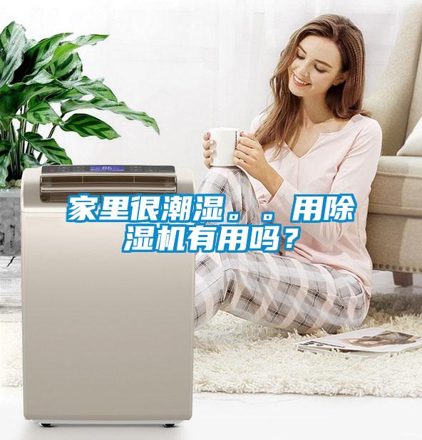 家里很潮濕。。用除濕機有用嗎？