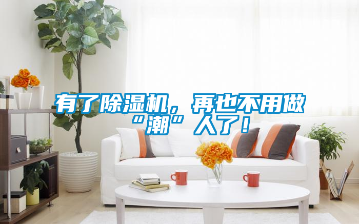 有了除濕機，再也不用做“潮”人了！