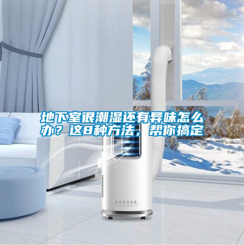 地下室很潮濕還有異味怎么辦？這8種方法，幫你搞定